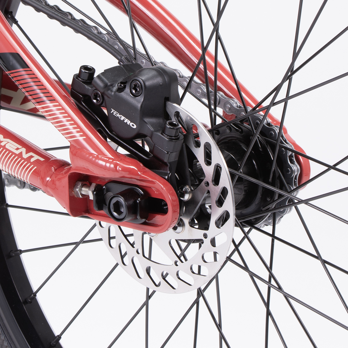 Chase Element Focus Tektro Brake Disc