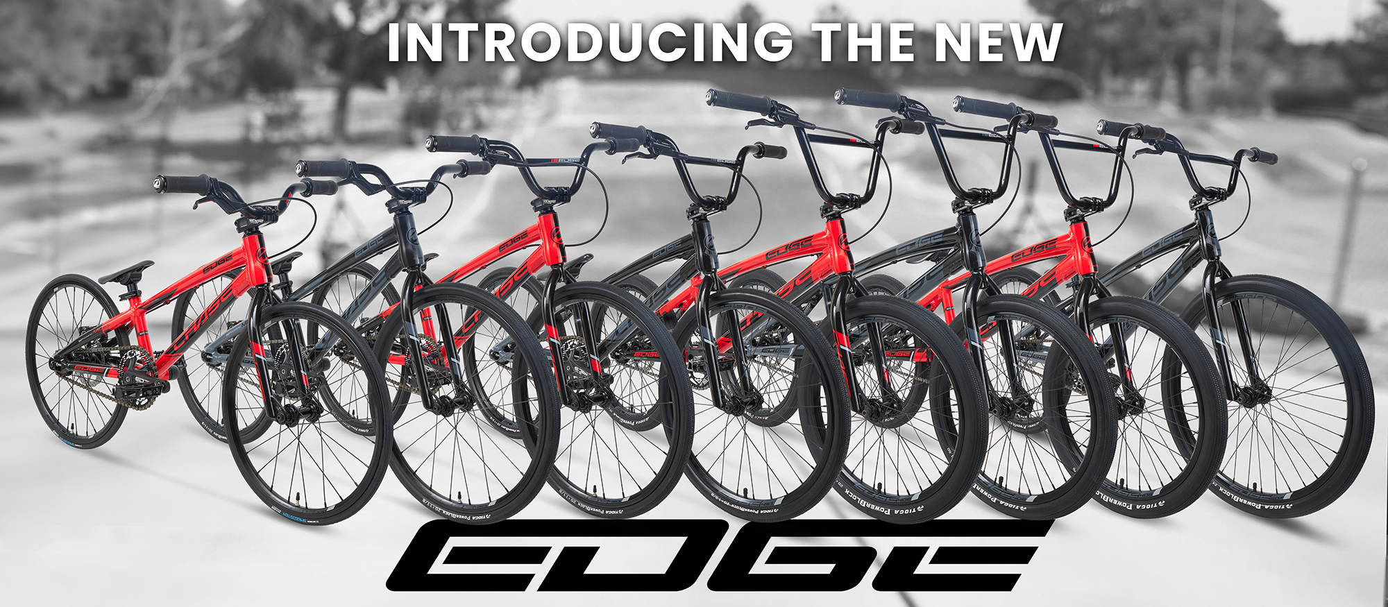Introduucing the NEW Chase Edge 2025