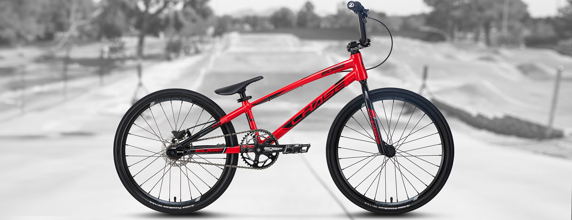 Chase Edge Expert Red